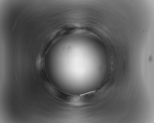 X0000089720096200707051728