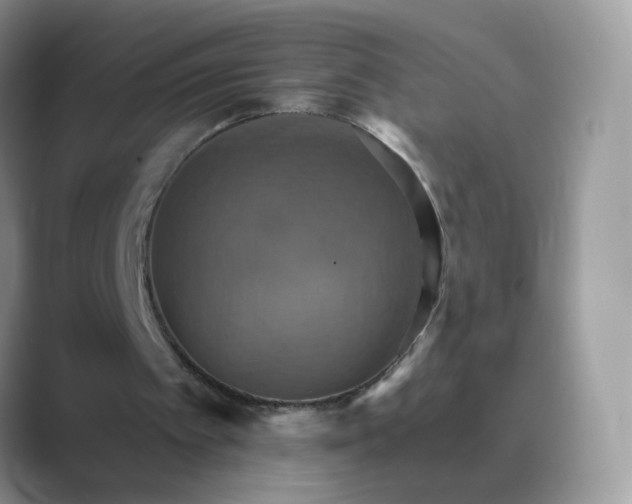 X0000089720097200707051727