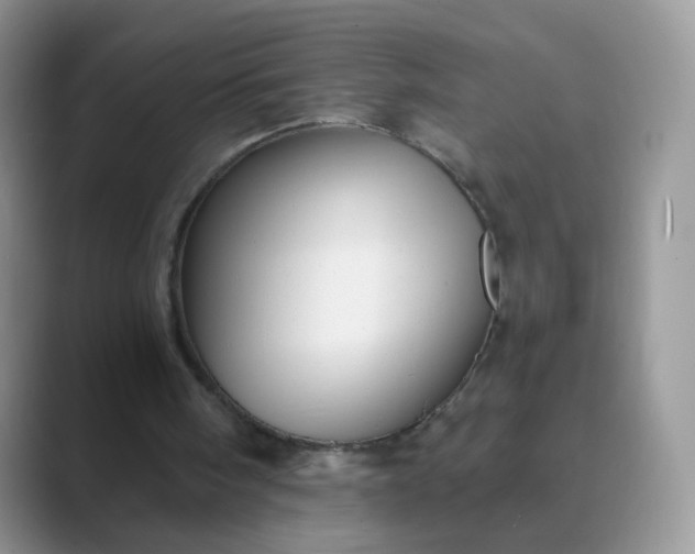 X0000089720098200707051727