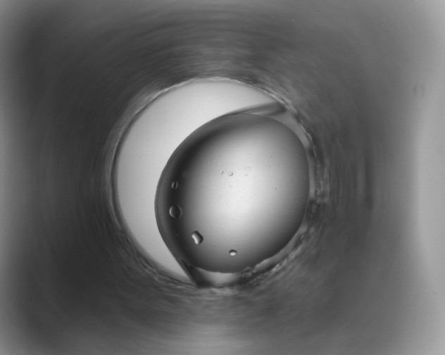 X0000089720099200707051727