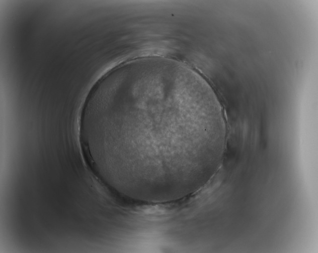 X0000089720100200707051727