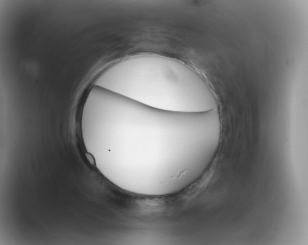 X0000089720102200707051727