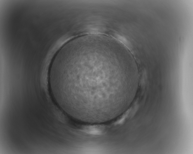 X0000089720103200707051727