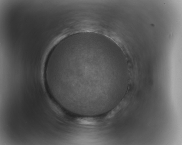 X0000089720104200707051727