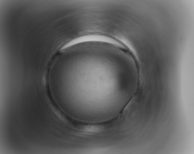 X0000089720105200707051727