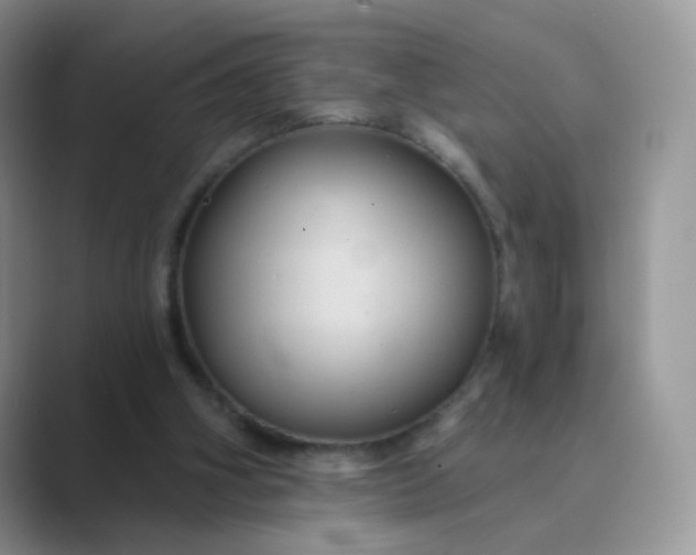 X0000089720106200707051727