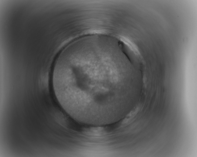X0000089720108200707051727