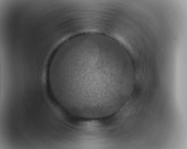 X0000089720112200707051727