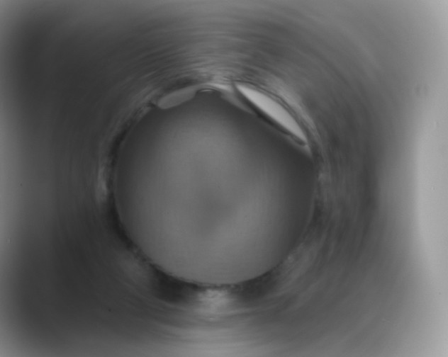 X0000089720114200707051727