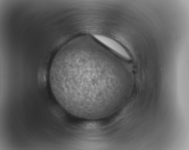 X0000089720115200707051727