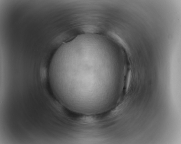 X0000089720117200707051727