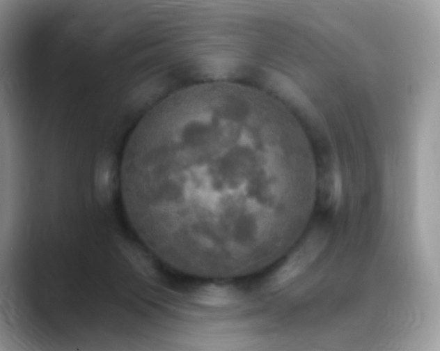 X0000089720119200707051727