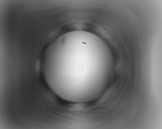 X0000089720122200707051727