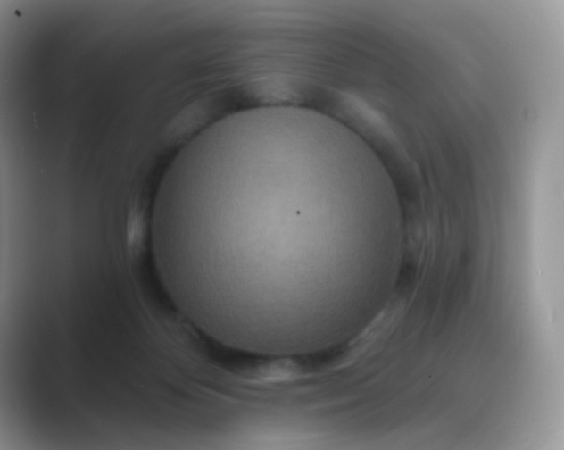 X0000089720124200707051727