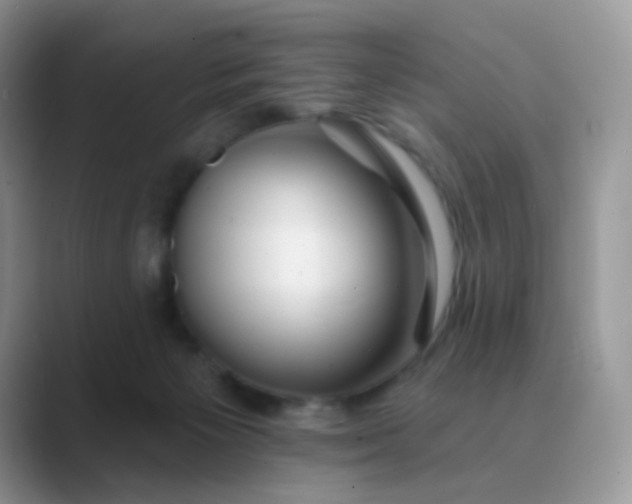 X0000089720125200707051727