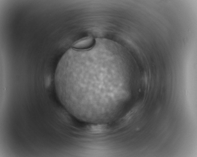 X0000089720134200707051727