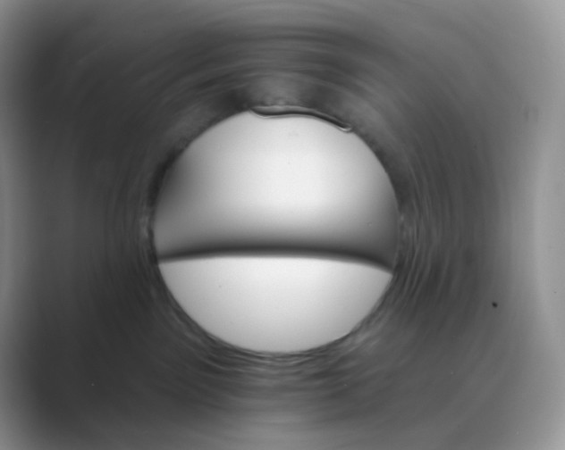 X0000089720141200707051727