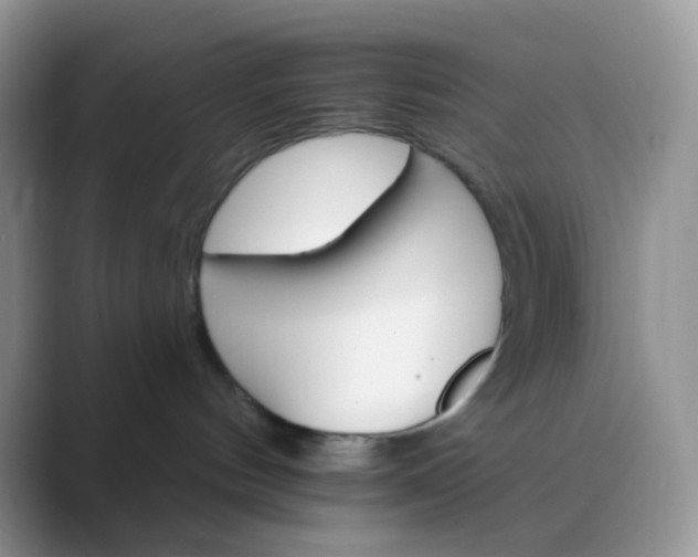 X0000089720144200707051727