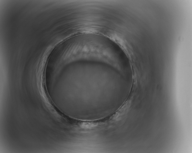 X0000089720145200707051726