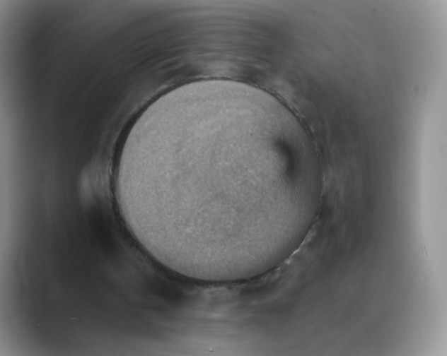 X0000089720146200707051726