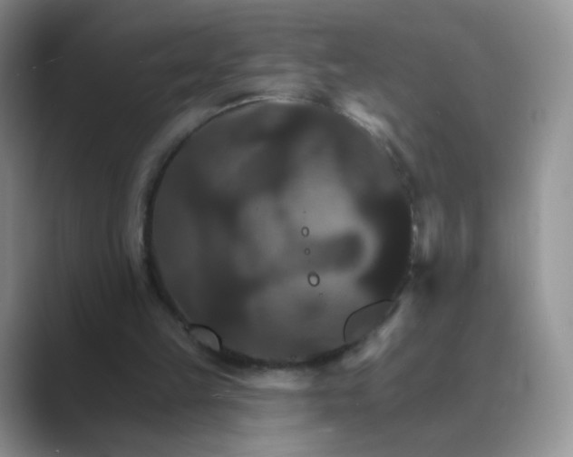 X0000089720149200707051726