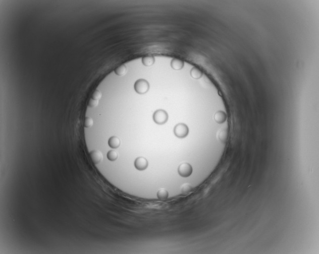 X0000089720153200707051726