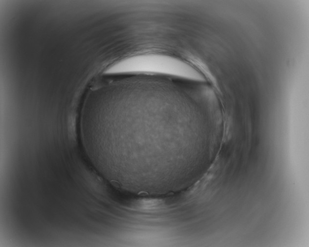 X0000089720154200707051726