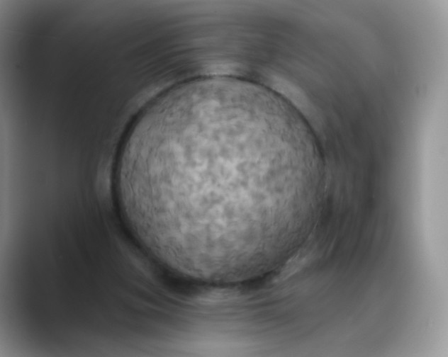X0000089720155200707051726