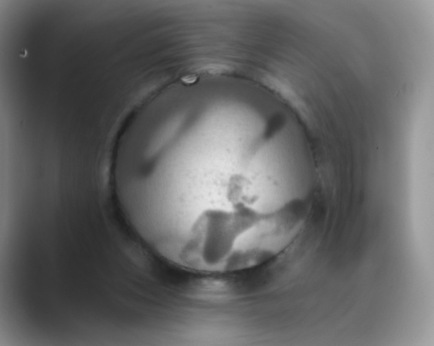 X0000089720159200707051726