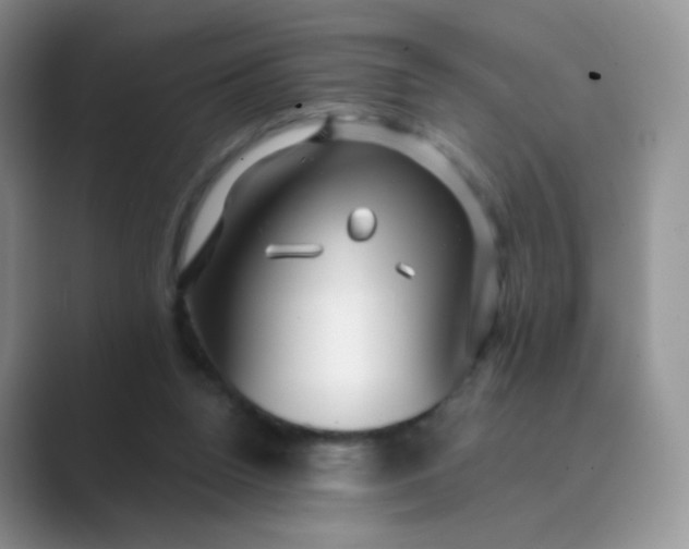 X0000089720160200707051726