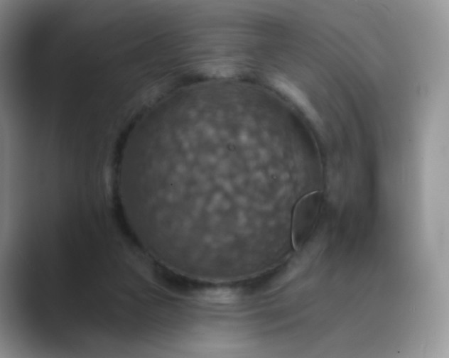 X0000089720161200707051726