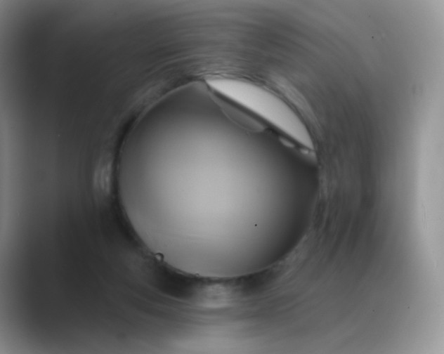 X0000089720163200707051726