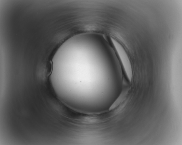 X0000089720164200707051726