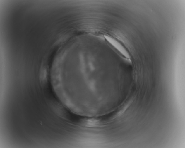 X0000089720165200707051726