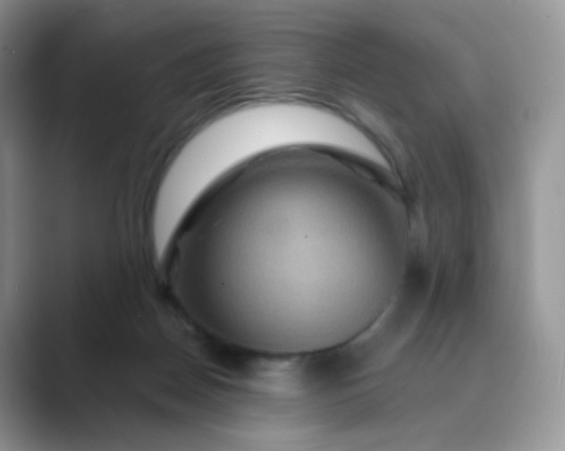 X0000089720170200707051726