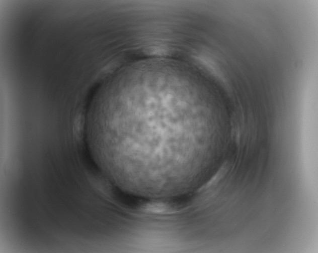 X0000089720171200707051727