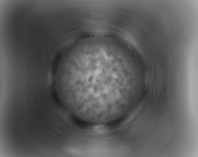 X0000089720173200707051727