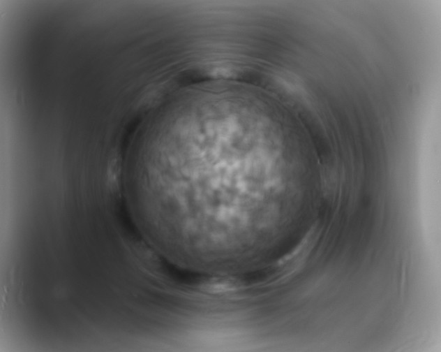 X0000089720175200707051727