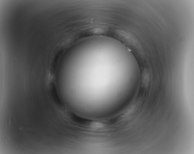 X0000089720176200707051727