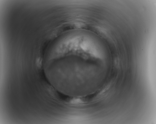 X0000089720177200707051727