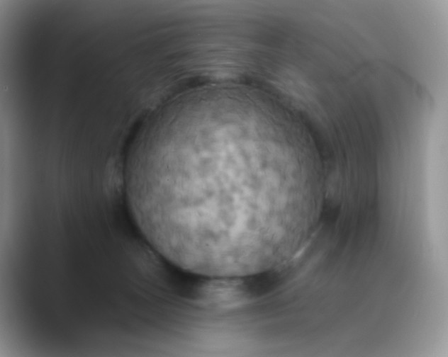 X0000089720179200707051727
