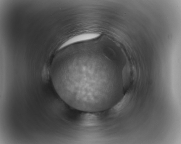 X0000089720180200707051727
