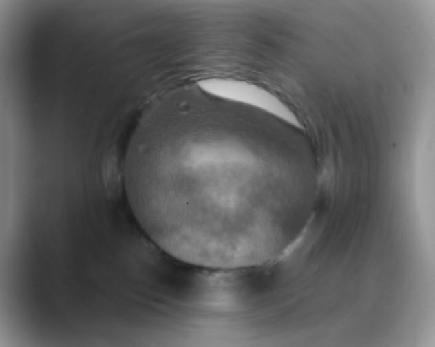 X0000089720186200707051727