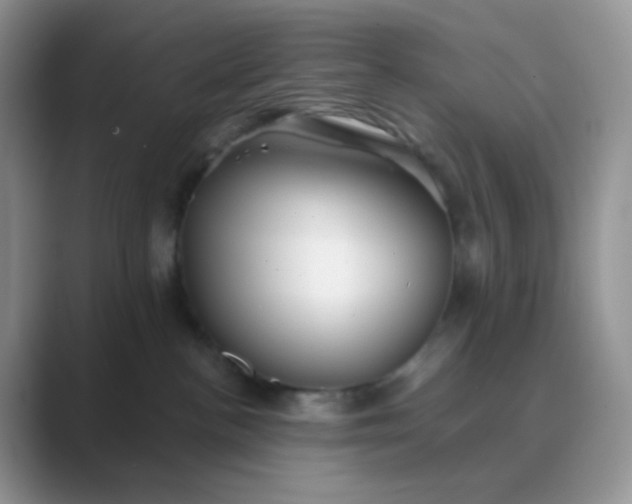 X0000089720188200707051727