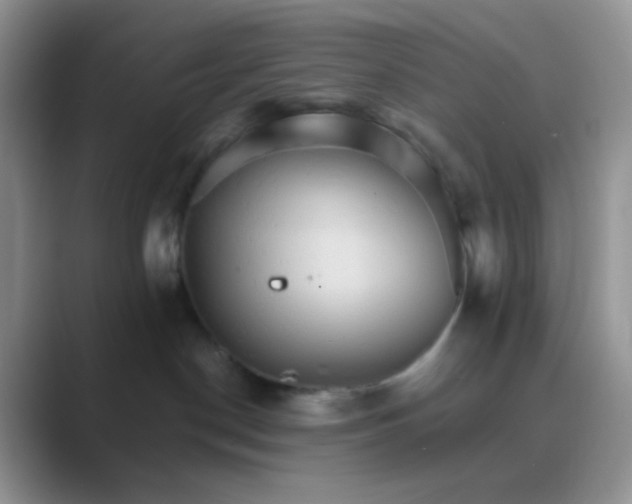 X0000089720190200707051727