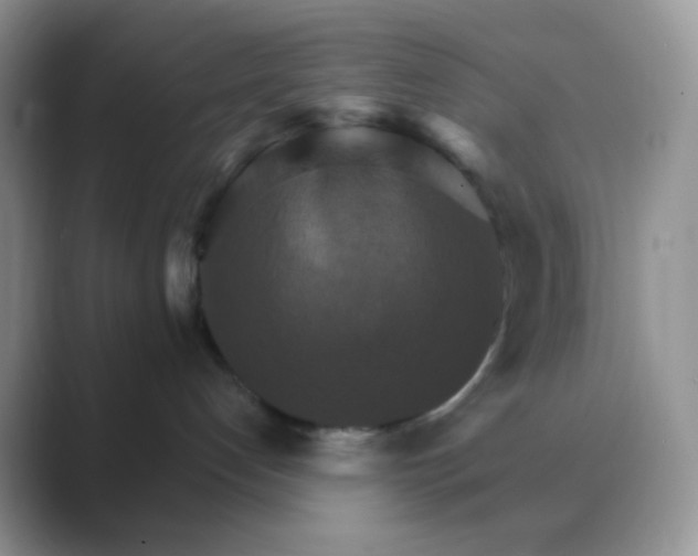 X0000089720192200707051727