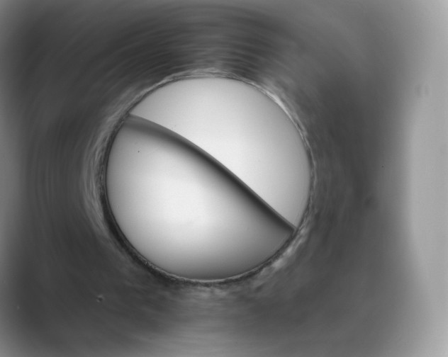 X0000089720193200707051726
