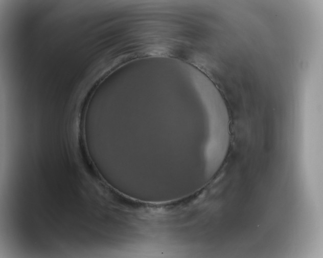 X0000089720194200707051726