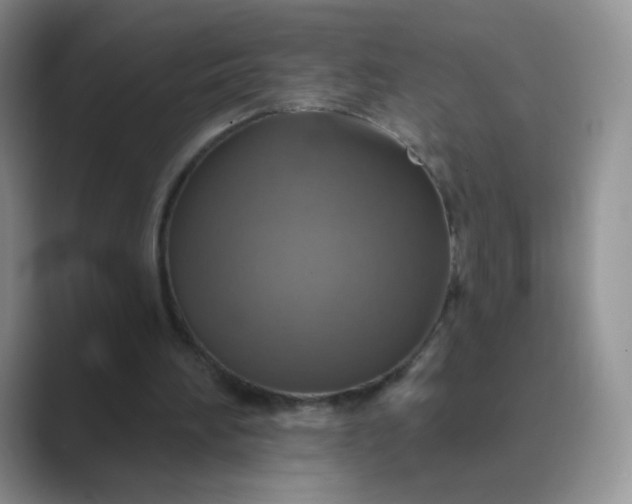 X0000089720196200707051726