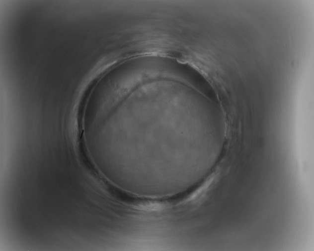 X0000089720198200707051726